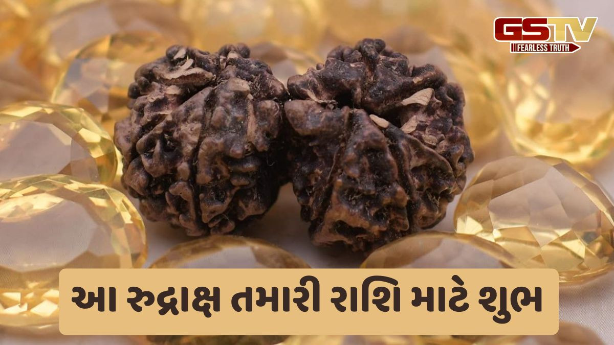 રુદ્રાક્ષ ખરીદતા અને પહેરતા પહેલા, તમારે આ મહત્વપૂર્ણ વાત જાણવી જ જોઈએ
