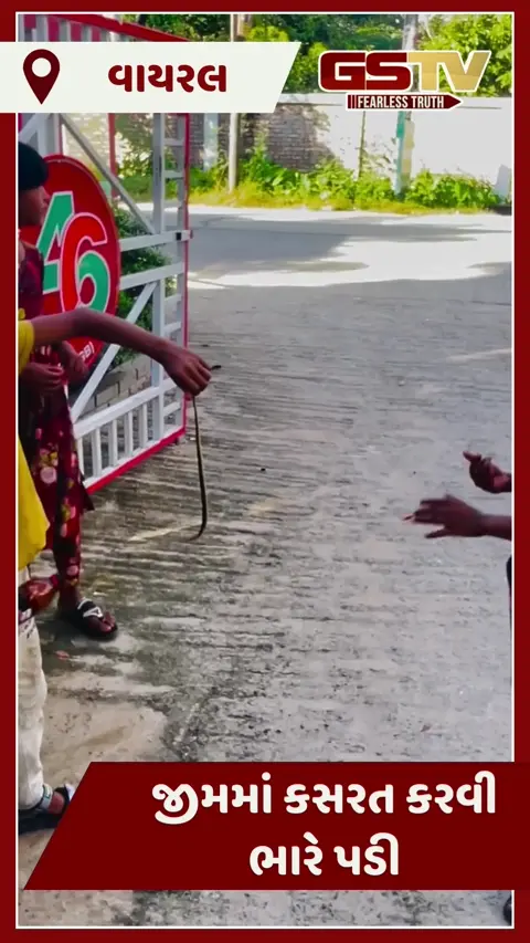 VIDEO : બાળકે પકડ્યો ઝેરી સાપ, આ દૃશ્યો જોઈ તમે પણ થઈ જશો ગુસ્સે  