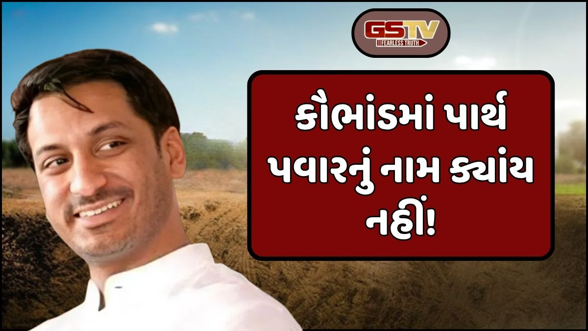 પૂણે જમીન કૌભાંડ: પાર્થ પવારનું તો નામ જ નહીં! સબ-રજિસ્ટ્રાર સહિત 3 લોકો જવાબદાર, સરકારે કંપનીને નોટીસ ફટકારી