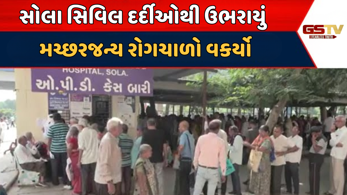 Ahmedabad news: ફૂલગુલાબી ઠંડી વચ્ચે રોગચાળાએ માથું ઉંચક્યું, સોલા સિવિલમાં OPD નાં 14 હજારથી વધુ કેસ