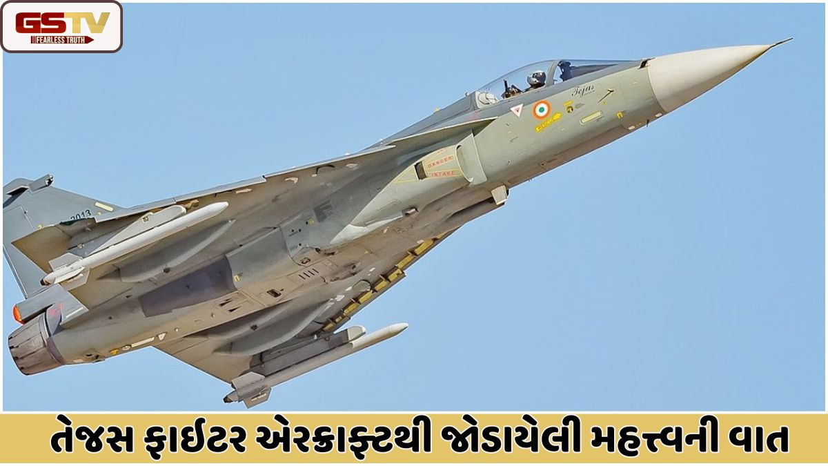 Business News: તેજસ ફાઇટર જેટ,આ હળવા એરક્રાફ્ટથી જોડાયેલી મહત્ત્વની વાત