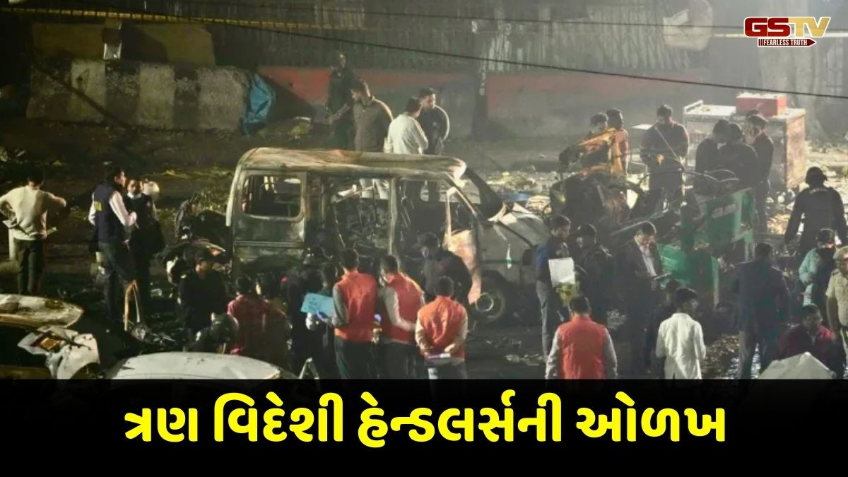 વિદેશી હેન્ડલરે મોકલ્યા હતા સુસાઇડ બોમ્બિંગના અઢળક વીડિયો, દિલ્હી બ્લાસ્ટ કેસમાં નવો ખુલાસો