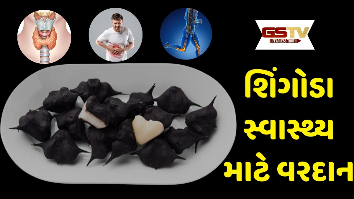 Health Tips : શિયાળામાં શિંગોડા ખાવાના અદ્દભૂત ફાયદા, શરીર માટે અમૃત સમાન છે આ ફળ