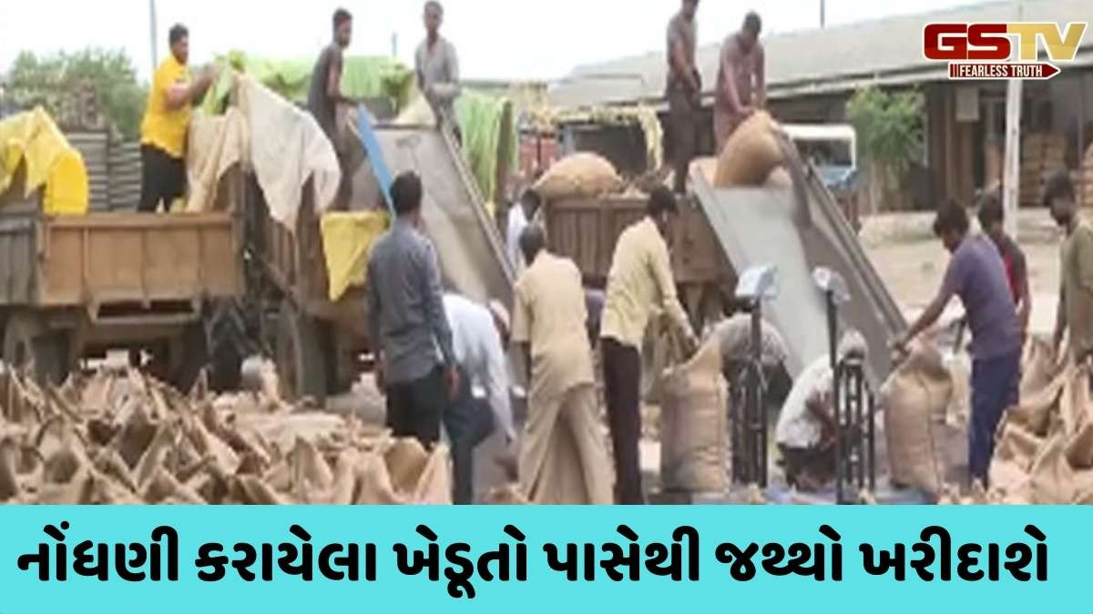 Gandhinagar news : ગુજરાતમાં 24 નવેમ્બરથી 113 ખરીદ કેન્દ્રો પરથી ડાંગર, બાજરી સહિતના પાકની ટેકાના ભાવેથી ખરીદી કરાશે