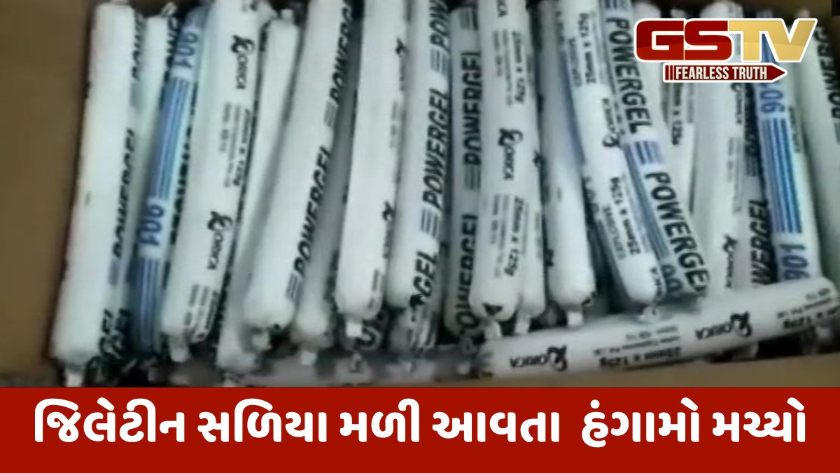 Uttrakhand news: અલ્મેડાની શાળા નજીકના જંગલમાં ૧૬૧ શંકાસ્પદ જિલેટીન સ્ટીક મળતા સુરક્ષાદળો એલર્ટમાં