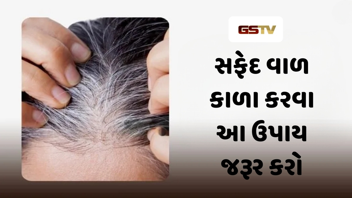 Hair Care Tips : સફેદ વાળ કુદરતી રીતે કરો કાળા, વાઇટ હેરની સમસ્યાથી મળશે છુટકારો 