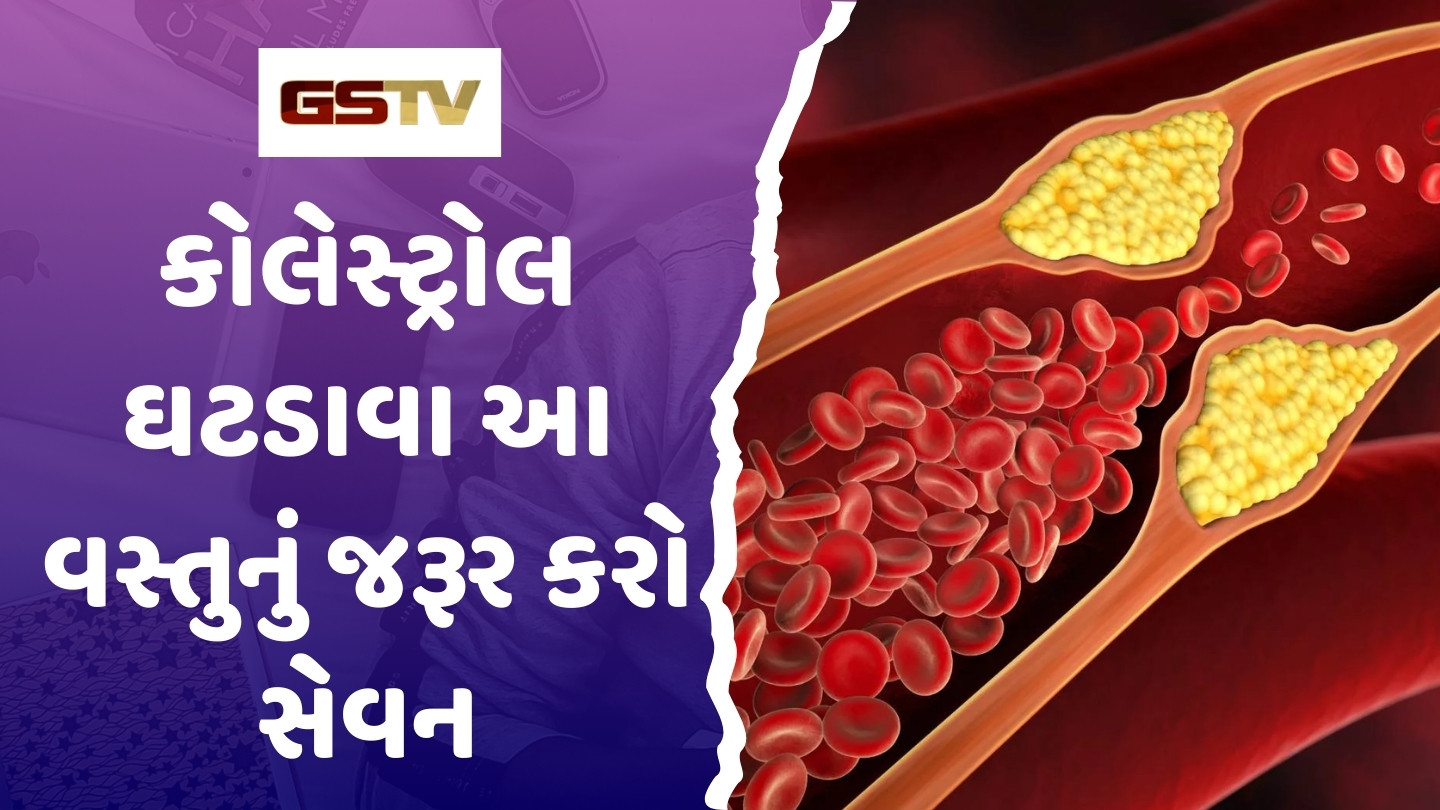 Health Tips : ઠંડીમાં ખરાબ કોલેસ્ટ્રોલ ઘટાડવા આ વસ્તુનું જરૂર કરો સેવન, આરોગ્ય માટે છે અતિ લાભદાયી