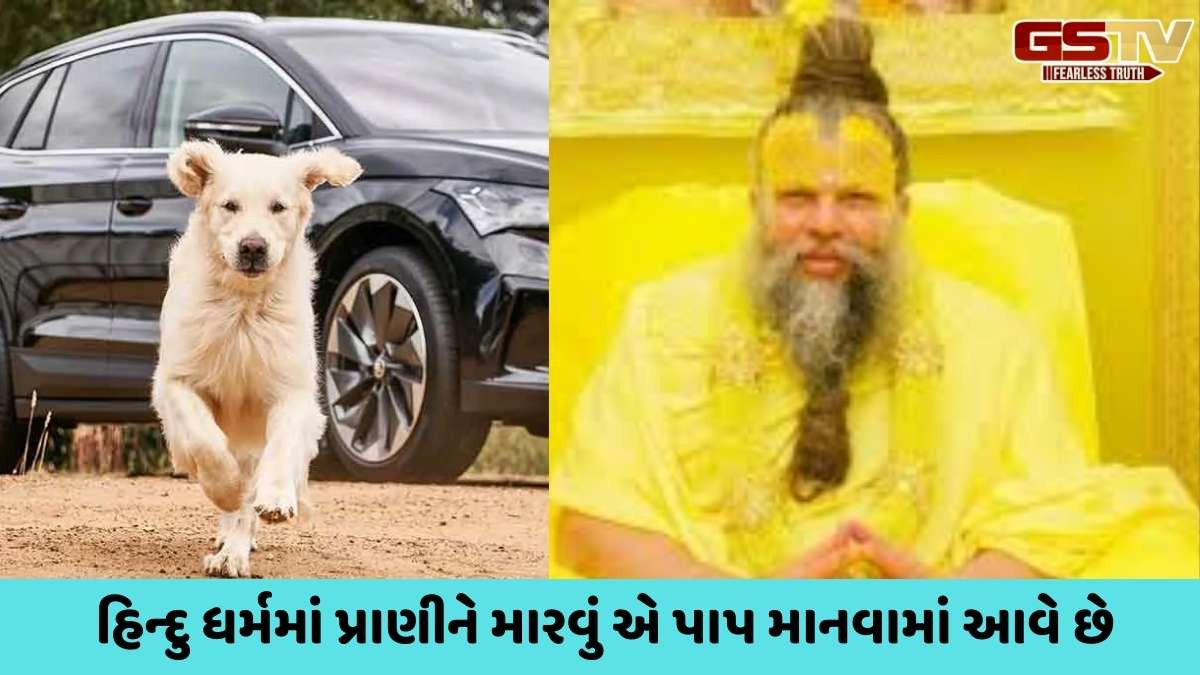 Religion: જો કૂતરો કારથી અથડાય તો પાપનું પ્રાયશ્ચિત કરવા માટે શું કરવું જોઈએ? પ્રેમાનંદ મહારાજે સમજાવ્યું