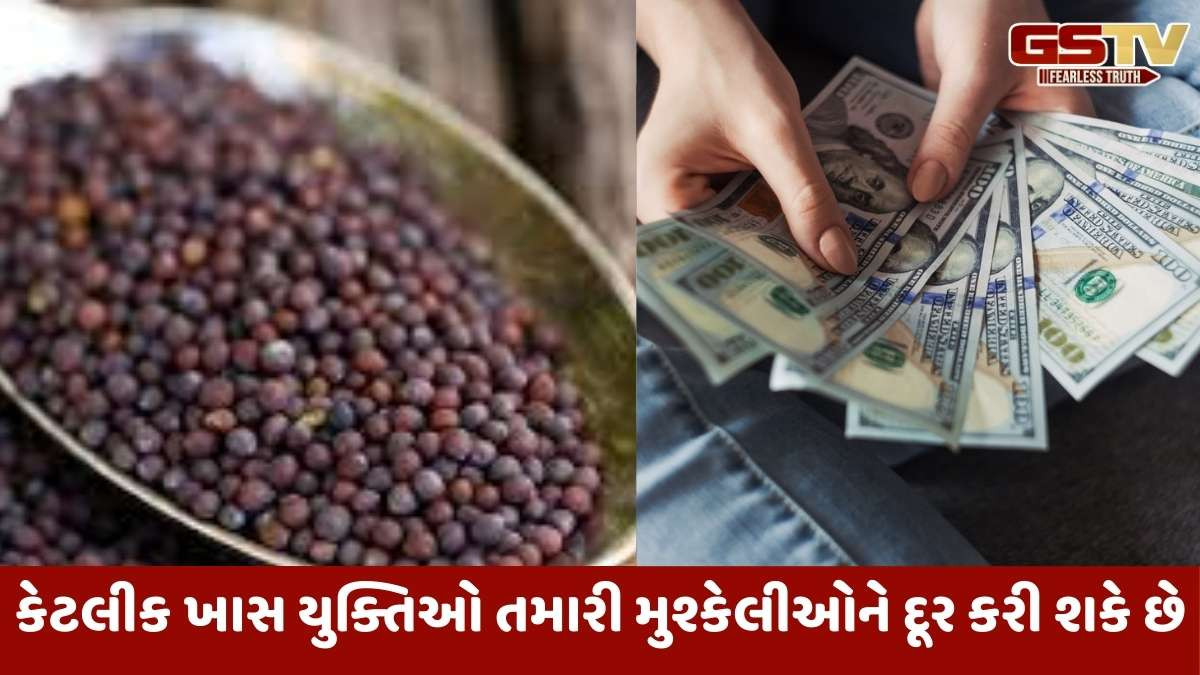 Vastu tips: આ સરસવના યુક્તિઓ તમારા નસીબને ઉજ્જવળ બનાવી શકે છે અને તમારી બધી મુશ્કેલીઓ દૂર કરી શકે છે