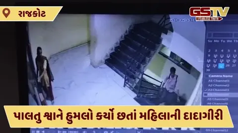 Video: રાજકોટમાં શ્વાને હુમલો કરતાં મહિલાએ ભોગ બનનારને લાફો ઝિંક્યો, સોસાયટીના રહીશો પણ શ્વાનથી ત્રાહિમામ