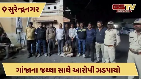 VIDEO: સુરેન્દ્રનગરના સાયલામાંથી લીલા ગાંજાની ખેતી ઝડપાઈ,  2.79 કરોડનો ગાંજાનો જથ્થો SOGની ઝપટે