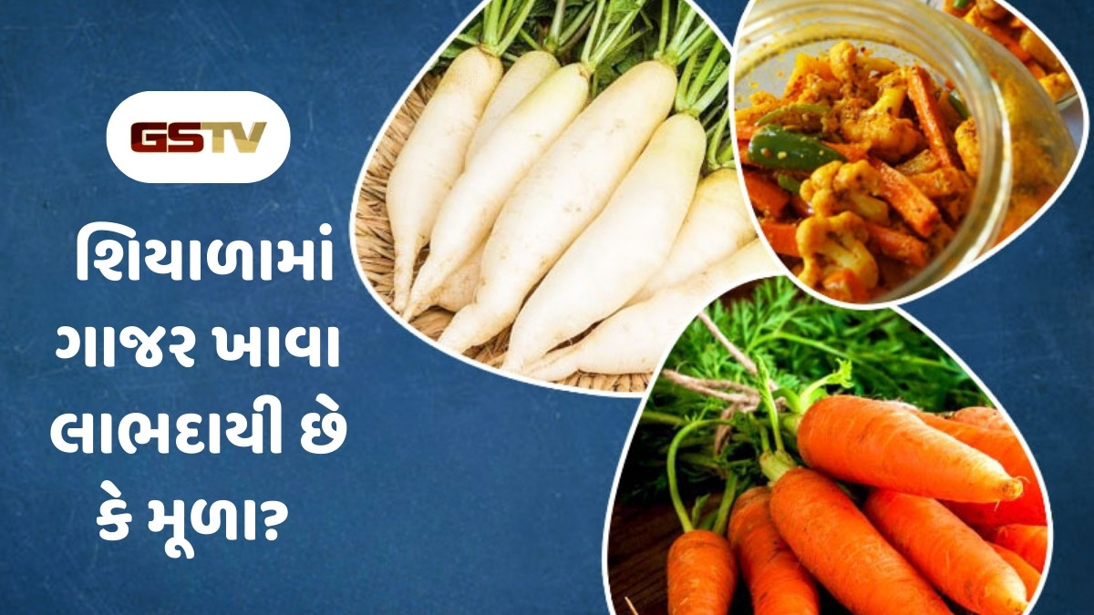Health Tips : શિયાળામાં ગાજર ખાવા લાભદાયી છે કે મૂળા? અહીં જાણો બન્નેના ફાયદા