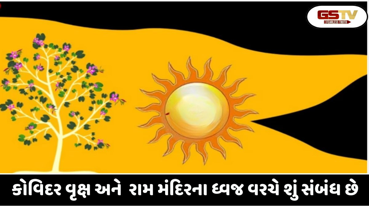 Religion: કોવિદર વૃક્ષ શું છે? રામ મંદિરની ટોચ પર લહેરાતા ધ્વજ પર તેનું ચિત્રણ કેમ છે?