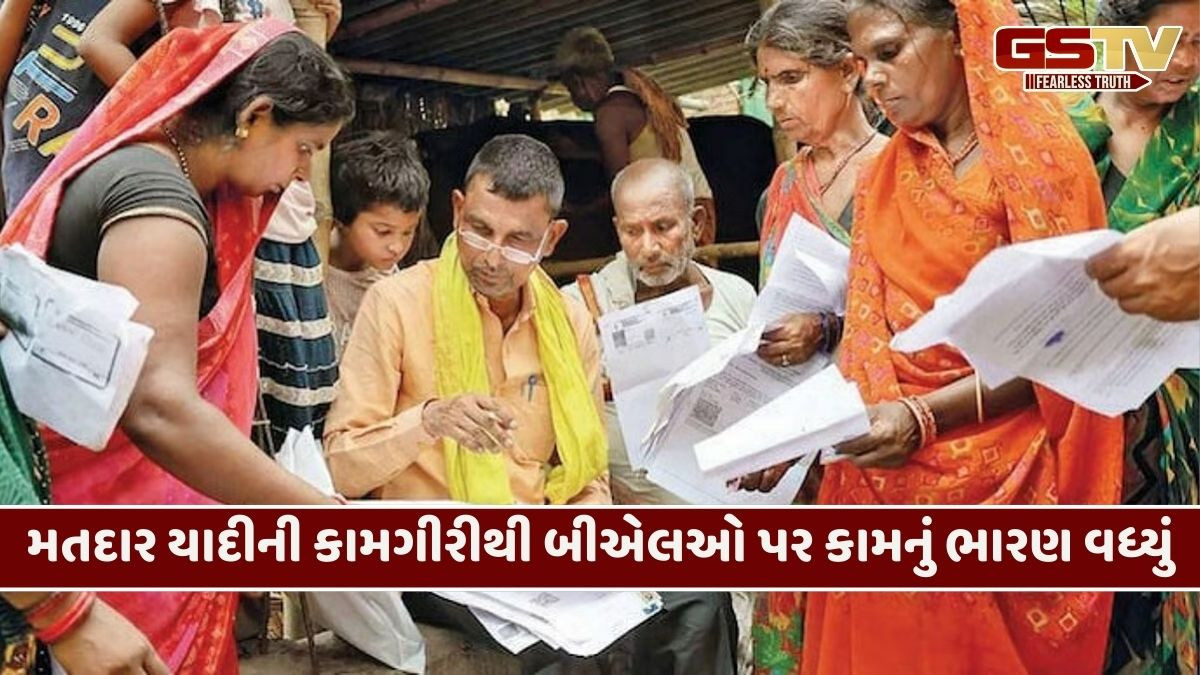 ખેડા અને આણંદ જિલ્લામાં SIRનો બીજો તબક્કો, 63 ટકાથી વધુની કામગીરી પૂર્ણ