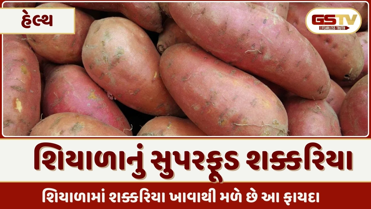 Health Tips : શિયાળામાં સ્વાદ અને સ્વાસ્થ્યનો ખજાનો છે શક્કરિયા, પોષક તત્વોનો ભંડાર