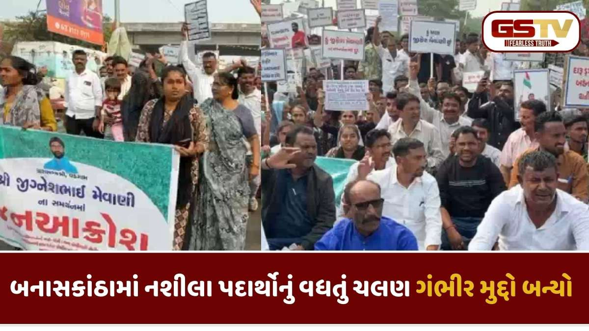 Banaskantha news: ડીસામાં નશીલા પદાર્થો વિરુદ્ધ જનઆક્રોશ, મેવાણીના સમર્થનમાં 500 સમર્થકોની મહારેલી
