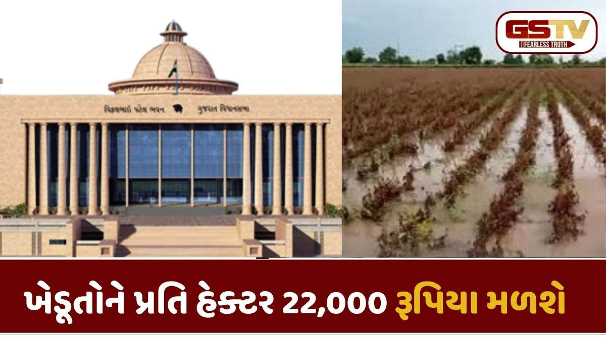 Gandhinagar news: રાજ્યના ખેડૂતો માટે પાક નુકસાની અંગેની સહાય મેળવવા અરજીની સમય મર્યાદા વધારાઈ, જાણો છેલ્લી તારીખ