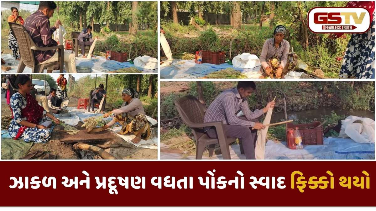 Surat news: સુરતની ઓળખ સમાન પોંકને પ્રદૂષણનો માર લાગ્યો, હવે બદલાયું નવું ડેસ્ટિનેશન