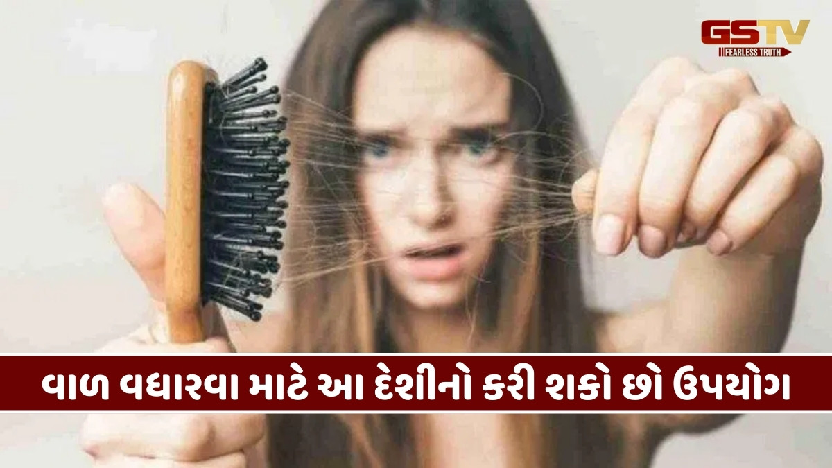 Hair Care Tips : વાળ ખરતા હોય તો આ દેશી વસ્તુ લગાવો, હેર થશે લાંબા અને કાળા