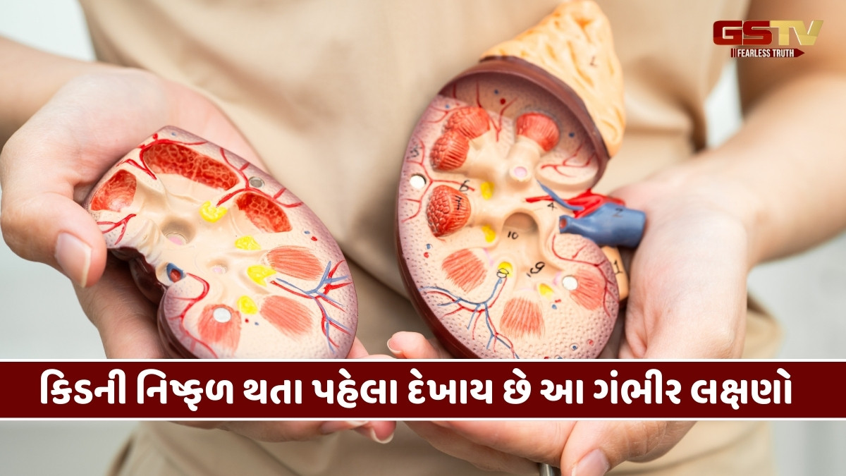 Health Tips : કિડની ખરાબ થતા પહેલા દેખાય છે આ લક્ષણો, જાણી લેશો તો બચી જશે જીવ