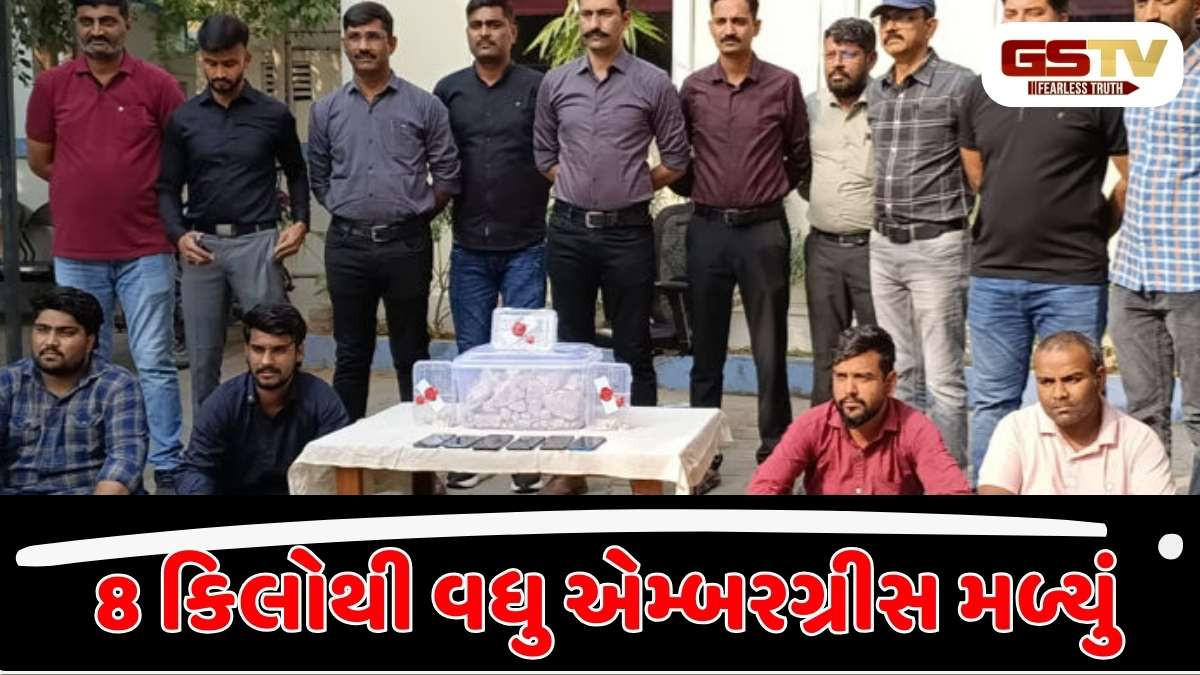 Ahmedabad news : સરખેજમાં 8.70 કરોડની કિંમતના અતિ દુર્લભ એમ્બરગ્રીસના જથ્થા સાથે 4 શખ્સોની ધરપકડ