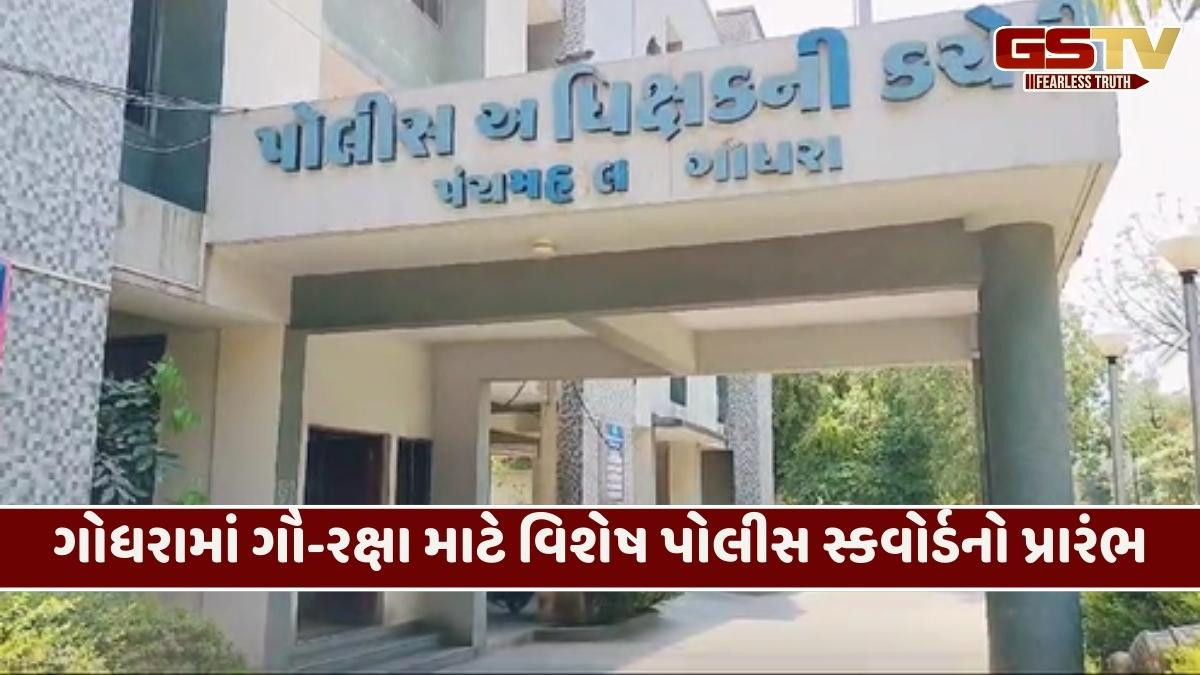 Godhra બન્યું રાજ્યનું પ્રથમ 'ગૌ-રક્ષા કેન્દ્ર': ગૌવંશની હેરાફેરી રોકવા વિશેષ સ્કવોર્ડની રચના