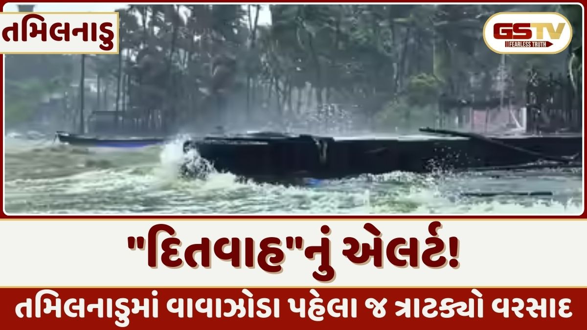 "દિતવાહ"એ શ્રીલંકામાં વેરી તબાહી! હવે તમિલનાડુમાં એલર્ટ, 56 ફ્લાઈટ રદ, વરસાદ શરૂ