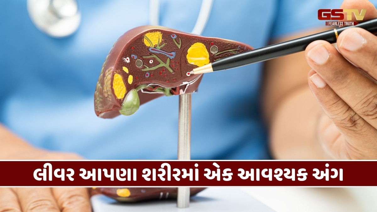Health Tips : લીવર ખરાબ થતા જ દેખાય છે 6 મુખ્ય લક્ષણો, તાત્કાલિક સારવાર લેવી જરૂરી