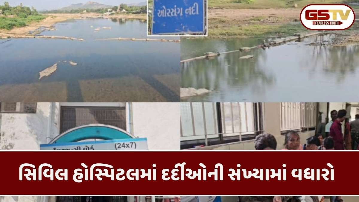 Chhota Udepur news: પ્રાથમિક સુવિધાથી વંચિત છોટાઉદેપુરના 120 લોકો બીમાર, દૂષિત પાણી અંગે રજૂઆત સામે કોઈ પગલાં નહીં