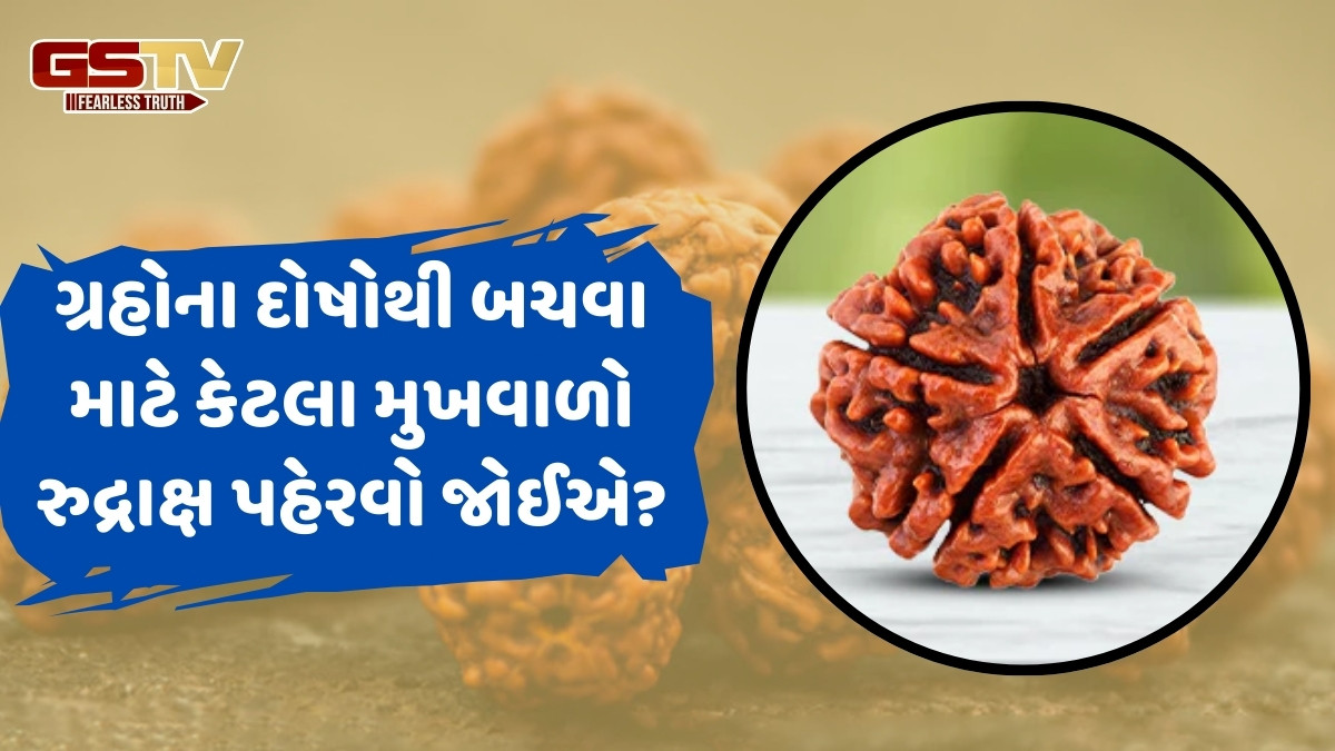 Religion: ગ્રહો, વાસ્તુ અને પિતૃના દોષોથી બચવા કયો રુદ્રાક્ષ પહેરવો જોઈએ? અહીં જાણો