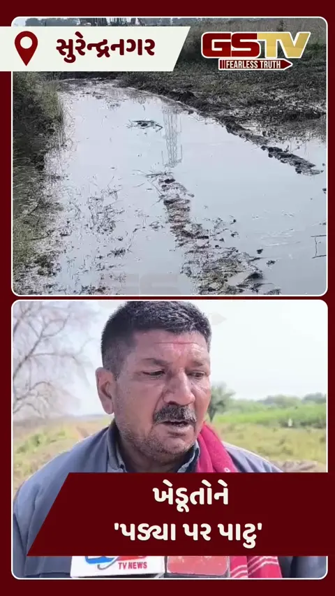 Video/Surendranagar માં ખેડૂતોને 'પડ્યા પર પાટુ' જેવી સ્થિતિ! જીરું, ઘઉં અને વરિયાળીના પાક પર પાણી ફરી વળ્યું