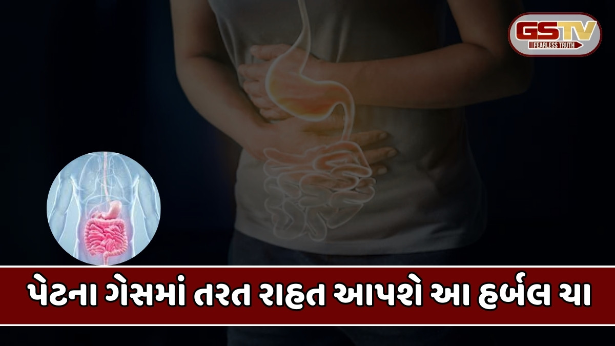 Health Tips : પેટના ગેસથી પરેશાની થાય છે ? તો આજે જ અપનાવો આ 3 હર્બલ ચા
