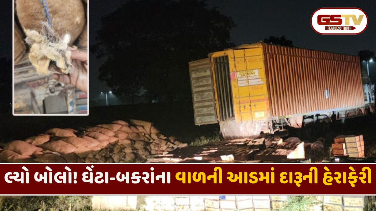Ahmedabad: ઘેંટા-બકરાંના વાળ ભરેલા કોથળામાં છુપાવેલો કરોડોનો દારૂ ઝડપાયો