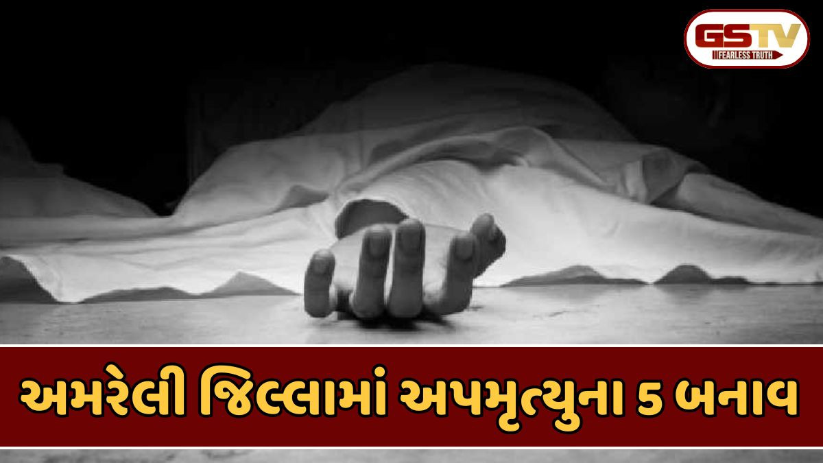 Amreli news: અપમૃત્યુના જુદા-જુદા બનાવમાં 5 લોકોના મોત, જિલ્લામાં ફેલાઈ ગમગીની