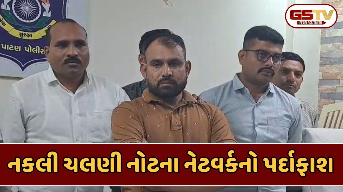 Patan news: 5.78 લાખની નકલી ચલણી નોટ સાથે એક શખ્સ પકડાયો, કાત્યોકના મેળામાં ચલણમાં આવતા પોલીસ થઈ હતી એલર્ટ