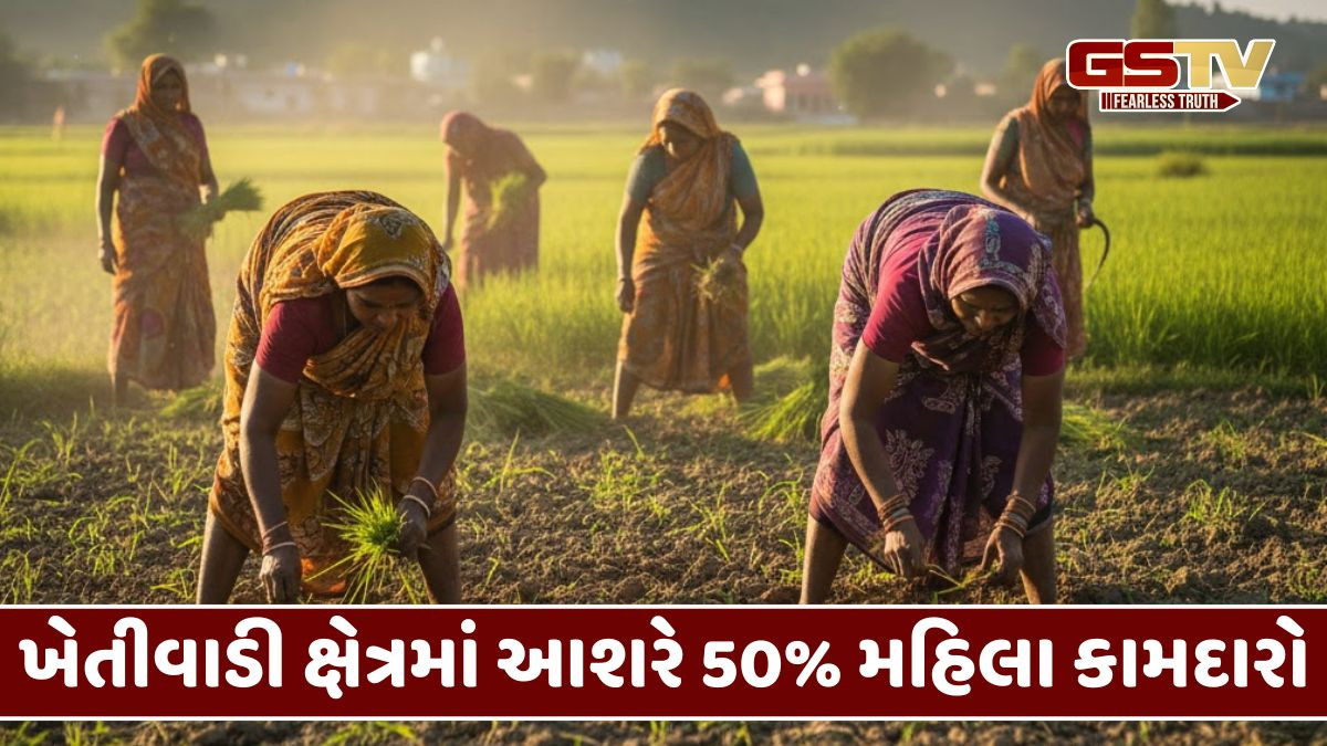 ખેતીવાડી ક્ષેત્રમાં પણ મહિલાઓ અગ્રેસર, ગુજરાતમાં 20.48 લાખ મહિલા ખેડૂત