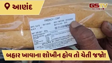 VIDEO: આણંદના વિદ્યાનગરની મોકા રૅસ્ટોરન્ટમાં સ્વચ્છતાના અભાવે મનપાની ટીમે સીલ માર્યું
