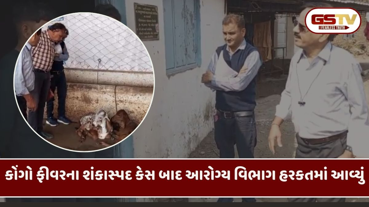 Amreliમાં કોંગો ફીવરનો શંકાસ્પદ કેસ, વિદ્યાર્થીને સારવાર માટે અમદાવાદ ખસેડ્યો
