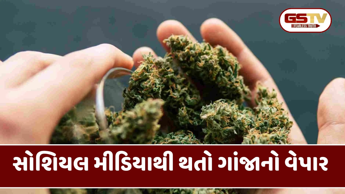Ahmedabad news: સાયબર ક્રાઈમે નારાણપુરામાં પાડ્યા દરોડા, ફ્લેટમાંથી લાખોનો હાઈબ્રિડ ગાંજા સાથે એકની ધરપકડ