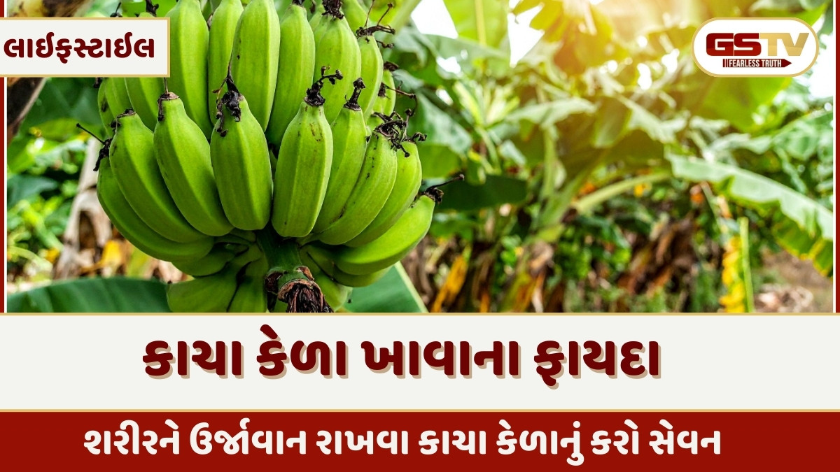Health Tips : શિયાળામાં કાચા કેળા ખાવાના અદ્દભૂત ફાયદા, શરીર ગરમ રાખવા સાથે કરશે મજબૂત 