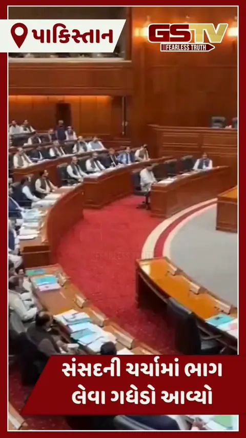 VIDEO: પાકિસ્તાનની સંસદમાં ગધેડો ઘૂસી ગયો, સંસદોને ટક્કર મારી નીચે પાડ્યા