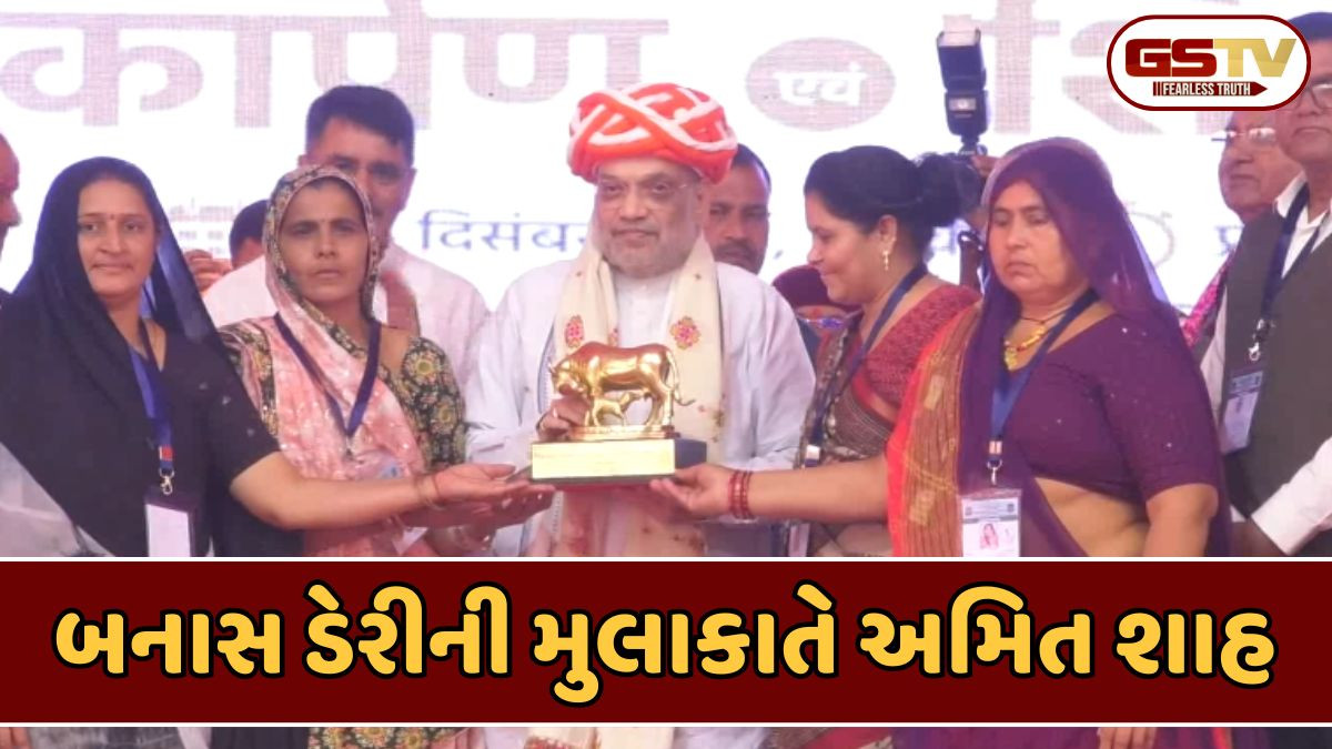 Banaskantha news: ગુજરાતની બહેનોની મહેનતથી બનાસ ડેરી 24 હજાર કરોડના વેપાર સુધી પહોંચી, પશુપાલકોને બિરદાવતા અમિત શાહ
