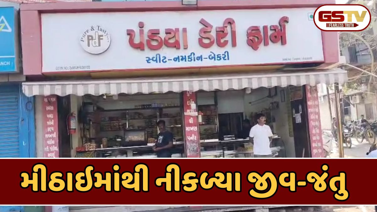Bhavnagar news: પંડ્યા સ્વીટની મીઠાઈમાંથી જીવાત નીકળતા ગ્રાહકની ફરિયાદ, ફૂડ વિભાગે લીધા સેમ્પલ