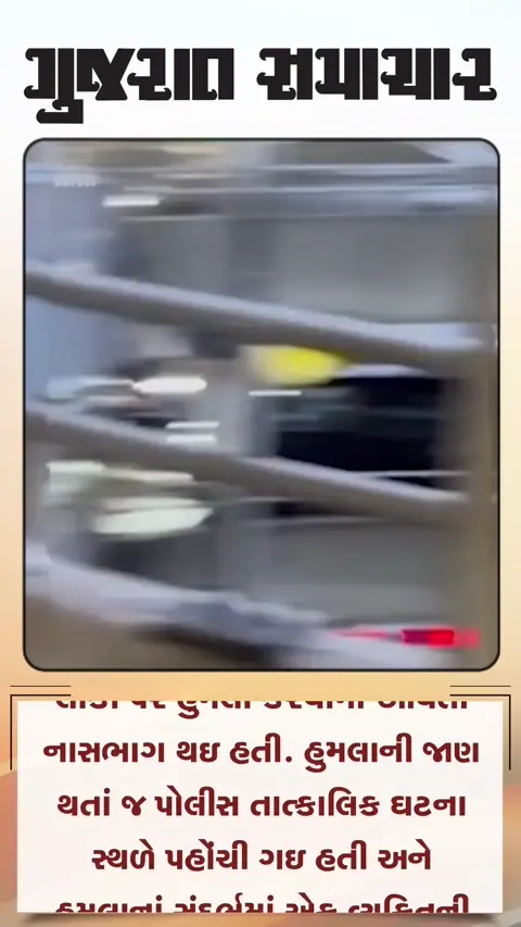 બ્રિટનનાં હિથ્રો એરપોર્ટ પર મરચા સ્પ્રેથી હુમલો