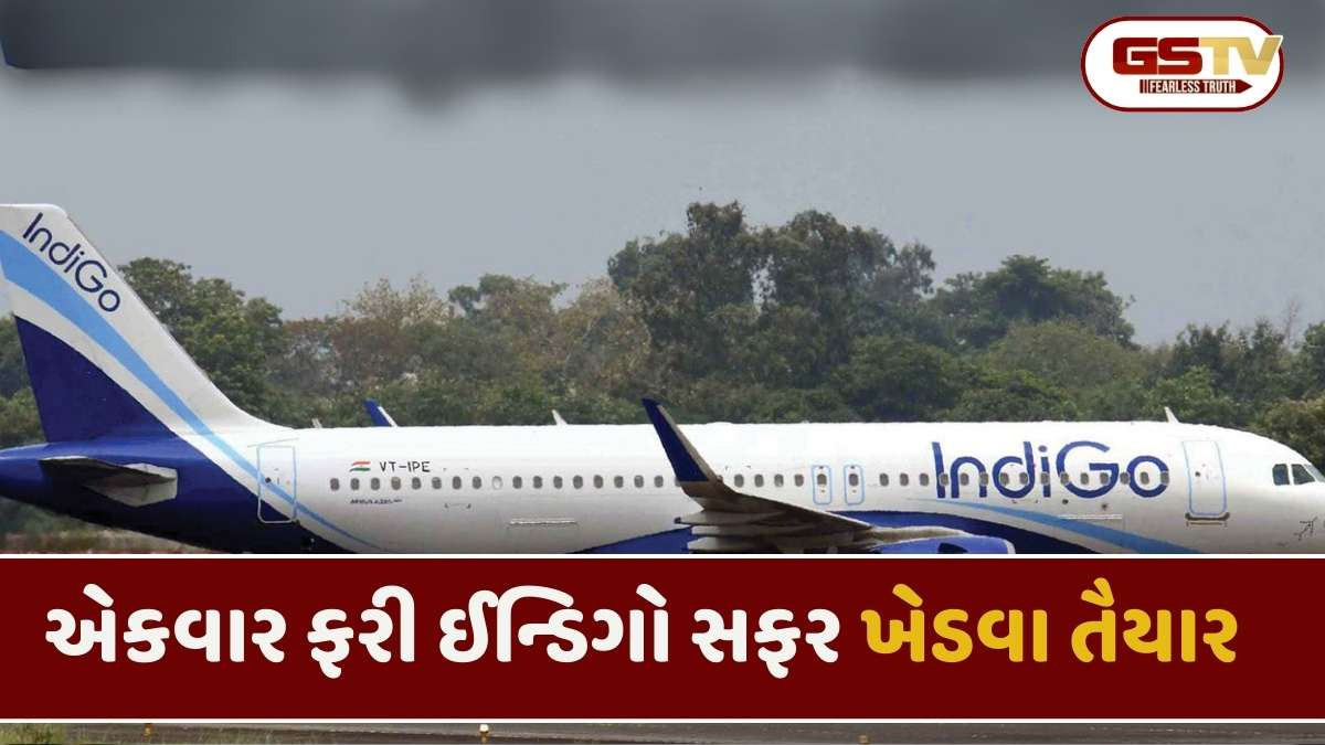 Indigo Flight : આખરે ઈન્ડિગોના સંકટમાં રાહત, 1650 ફલાઈટ્સ ચાલુ, 610 કરોડ રિફંડ ચુકવી દીધું