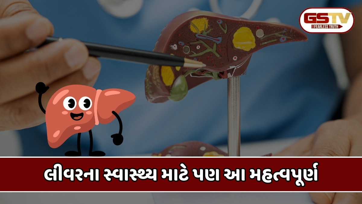 Health Tips : લીવરને તંદુરસ્ત રાખવા માટે આ વસ્તુનું જરૂર કરવું જોઈએ સેવન