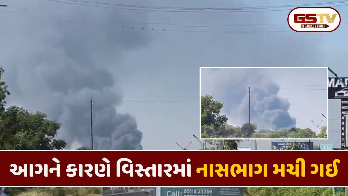 Vadodara: અંકોડીયા ગામ નજીક ફરાસખાનાના ગોડાઉનમાં લાગી ભીષણ આગ