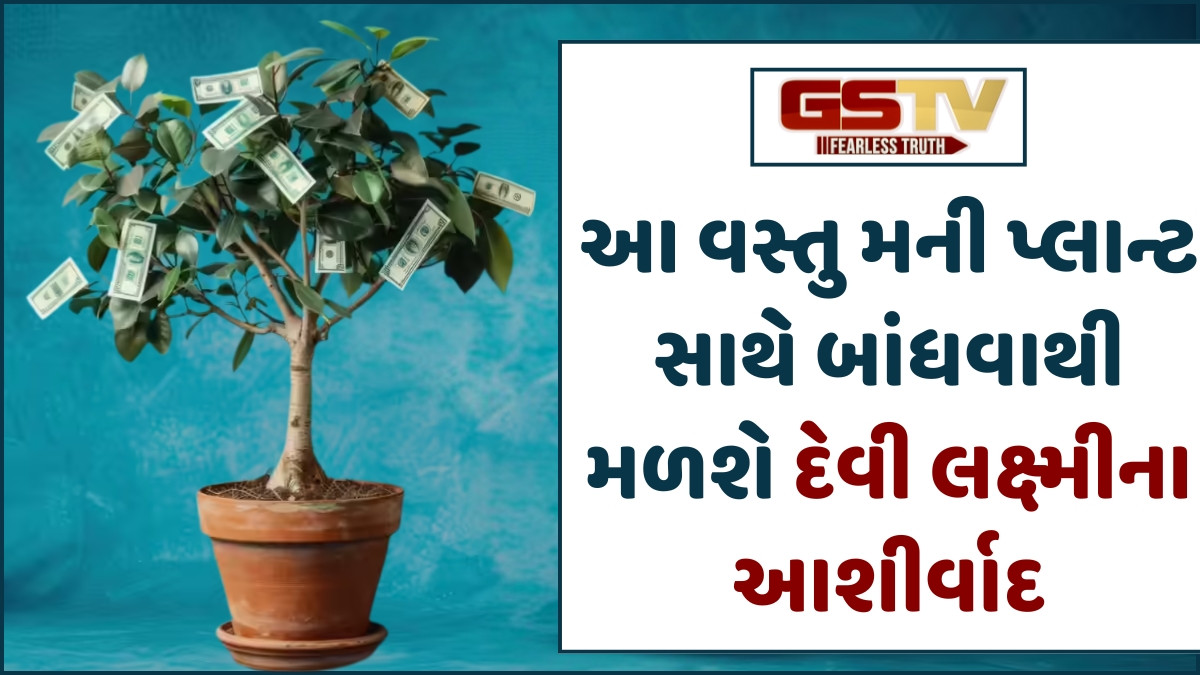 Religion: આ એક જ વસ્તુને બાંધો તમારા મની પ્લાન્ટ સાથે; સુખ અને સમૃદ્ધિમાં થશે વધારો