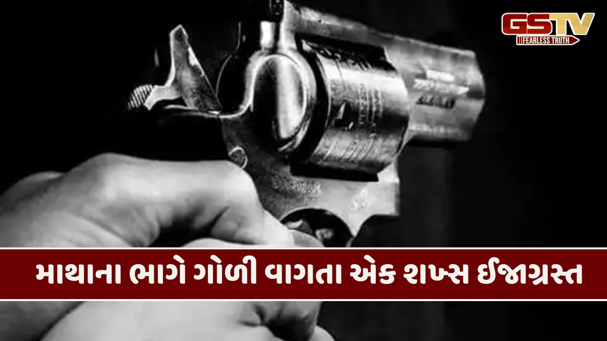 Ahmedabad news: નારોલમાં નજીવી બાબતમાં કાર ચાલકે કર્યું ફાયરિંગ, એક શખ્સ ઈજાગ્રસ્ત