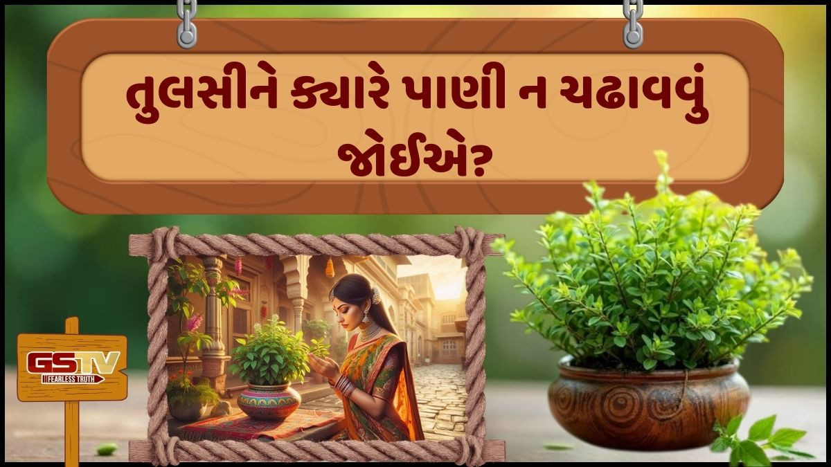 Religion: જો તમારા ઘરે પણ તુલસીનો છોડ હોય તો આ જરૂરથી જાણો, નહીંતર વધશે સમસ્યાઓ!